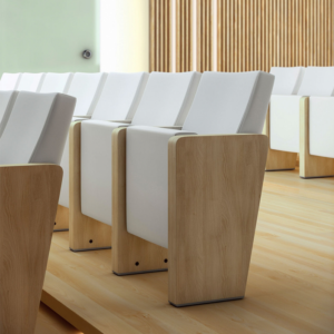 Auditorium seats