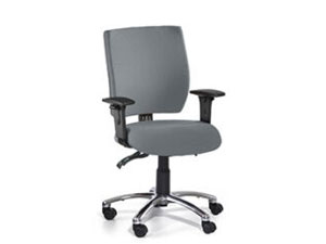 Gregory Ergonomic Task Office Chairs
